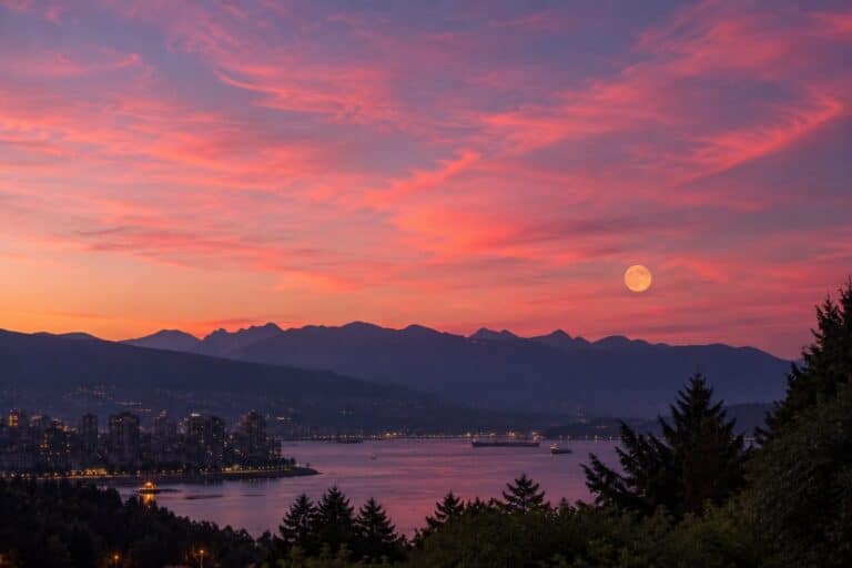 August in Vancouver: 8 Secret Nature Events You Can’t Miss (2026)