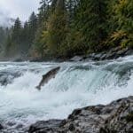 salmon-run-vancouver